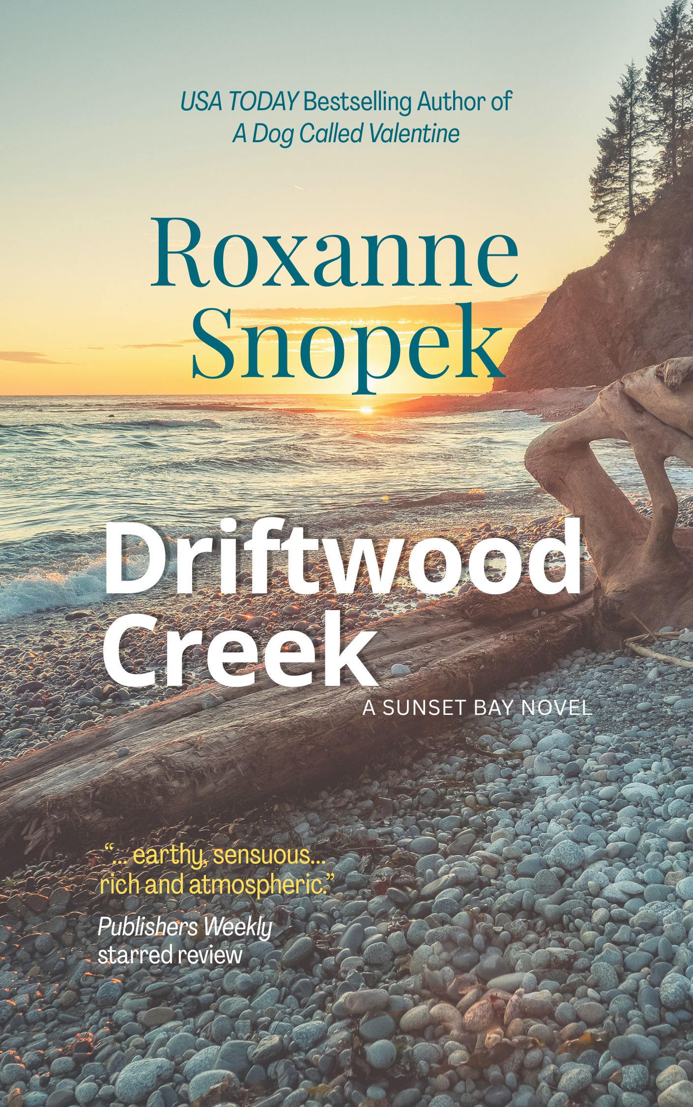 Driftwood Creek