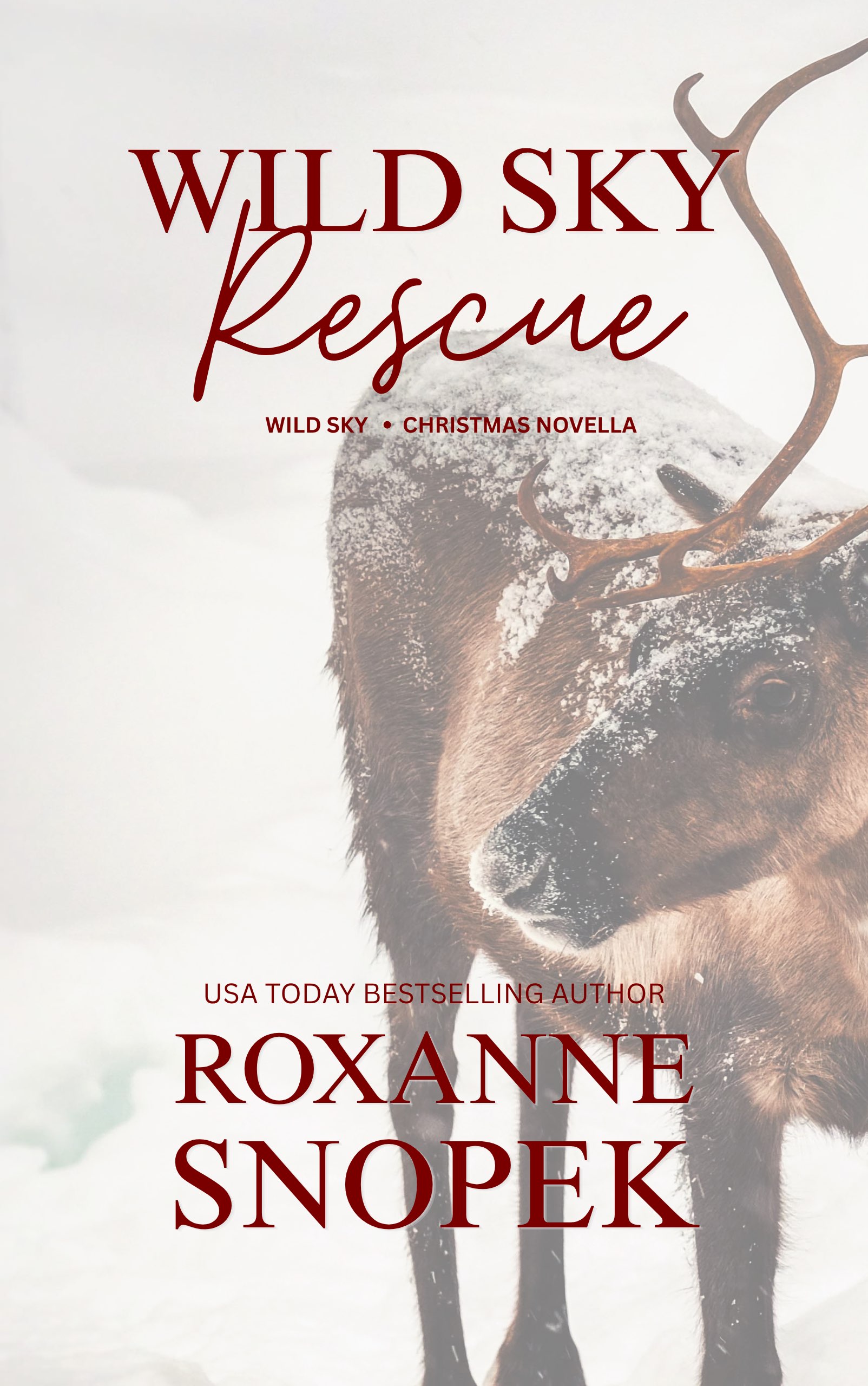 Wild Sky Rescue