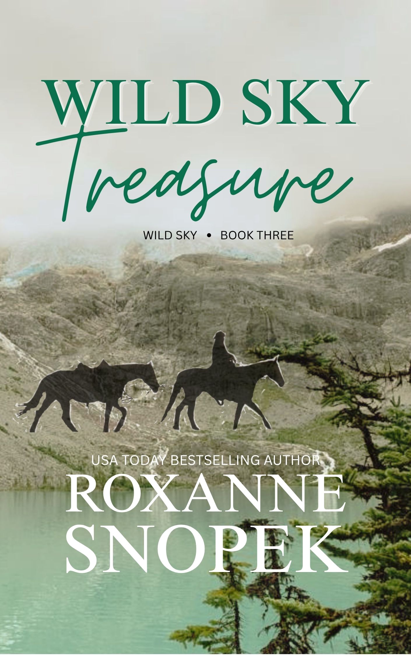 Wild Sky Treasure